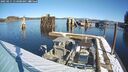 ./images/quadra/hbidock/20250211/hbidock20250211_113500M.jpg