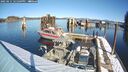 ./images/quadra/hbidock/20250211/hbidock20250211_121509M.jpg
