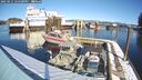 ./images/quadra/hbidock/20250211/hbidock20250211_124500M.jpg