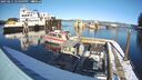 ./images/quadra/hbidock/20250211/hbidock20250211_144509M.jpg