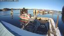 ./images/quadra/hbidock/20250211/hbidock20250211_154510M.jpg