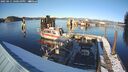 ./images/quadra/hbidock/20250211/hbidock20250211_160010M.jpg