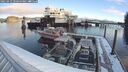 ./images/quadra/hbidock/20250212/hbidock20250212_090500M.jpg