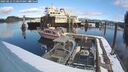 ./images/quadra/hbidock/20250212/hbidock20250212_110500M.jpg