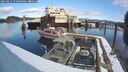 ./images/quadra/hbidock/20250212/hbidock20250212_110509M.jpg
