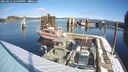 ./images/quadra/hbidock/20250212/hbidock20250212_121009M.jpg