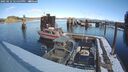 ./images/quadra/hbidock/20250212/hbidock20250212_121500M.jpg