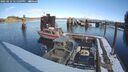./images/quadra/hbidock/20250212/hbidock20250212_121509M.jpg