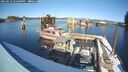 ./images/quadra/hbidock/20250212/hbidock20250212_142508M.jpg