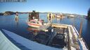 ./images/quadra/hbidock/20250212/hbidock20250212_152009M.jpg