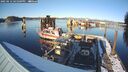 ./images/quadra/hbidock/20250212/hbidock20250212_161009M.jpg