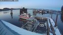 ./images/quadra/hbidock/20250212/hbidock20250212_174509M.jpg