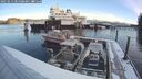 ./images/quadra/hbidock/20250213/hbidock20250213_085000M.jpg