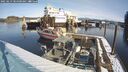 ./images/quadra/hbidock/20250213/hbidock20250213_104500M.jpg