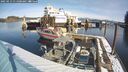 ./images/quadra/hbidock/20250213/hbidock20250213_111000M.jpg