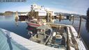 ./images/quadra/hbidock/20250213/hbidock20250213_111500M.jpg