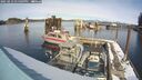 ./images/quadra/hbidock/20250213/hbidock20250213_135009M.jpg