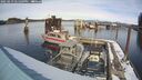 ./images/quadra/hbidock/20250213/hbidock20250213_141510M.jpg