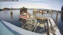 ./images/quadra/hbidock/20250213/hbidock20250213_143010M.jpg