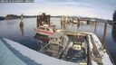 ./images/quadra/hbidock/20250213/hbidock20250213_143500M.jpg