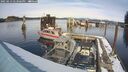 ./images/quadra/hbidock/20250213/hbidock20250213_143506M.jpg