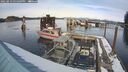 ./images/quadra/hbidock/20250213/hbidock20250213_151009M.jpg