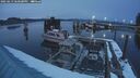./images/quadra/hbidock/20250213/hbidock20250213_180500M.jpg