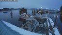 ./images/quadra/hbidock/20250213/hbidock20250213_180508M.jpg