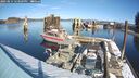 ./images/quadra/hbidock/20250214/hbidock20250214_123009M.jpg