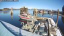 ./images/quadra/hbidock/20250214/hbidock20250214_124001M.jpg