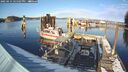 ./images/quadra/hbidock/20250214/hbidock20250214_155507M.jpg