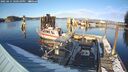 ./images/quadra/hbidock/20250214/hbidock20250214_160010M.jpg
