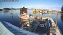 ./images/quadra/hbidock/20250214/hbidock20250214_160500M.jpg
