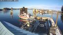 ./images/quadra/hbidock/20250214/hbidock20250214_160508M.jpg