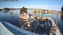 ./images/quadra/hbidock/20250214/hbidock20250214_161007M.jpg