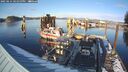 ./images/quadra/hbidock/20250214/hbidock20250214_162000M.jpg
