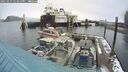 ./images/quadra/hbidock/20250215/hbidock20250215_125000M.jpg