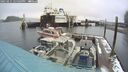 ./images/quadra/hbidock/20250215/hbidock20250215_125509M.jpg
