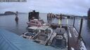 ./images/quadra/hbidock/20250215/hbidock20250215_174500M.jpg