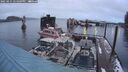./images/quadra/hbidock/20250215/hbidock20250215_174509M.jpg