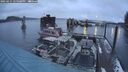 ./images/quadra/hbidock/20250215/hbidock20250215_175008M.jpg