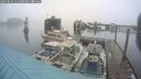./images/quadra/hbidock/20250216/hbidock20250216_111500M.jpg
