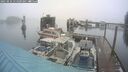 ./images/quadra/hbidock/20250216/hbidock20250216_111509M.jpg