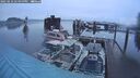./images/quadra/hbidock/20250216/hbidock20250216_175000M.jpg