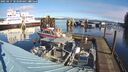 ./images/quadra/hbidock/20250217/hbidock20250217_103500M.jpg