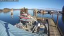 ./images/quadra/hbidock/20250217/hbidock20250217_112000M.jpg