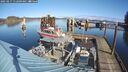 ./images/quadra/hbidock/20250217/hbidock20250217_112509M.jpg