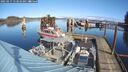 ./images/quadra/hbidock/20250217/hbidock20250217_113010M.jpg