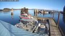 ./images/quadra/hbidock/20250217/hbidock20250217_114008M.jpg