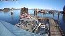 ./images/quadra/hbidock/20250217/hbidock20250217_115000M.jpg